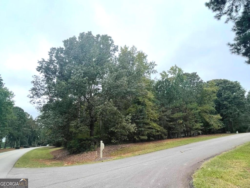Photo of 101 Elizafield Ct, Eatonton, GA 31024 (MLS # 10629629)