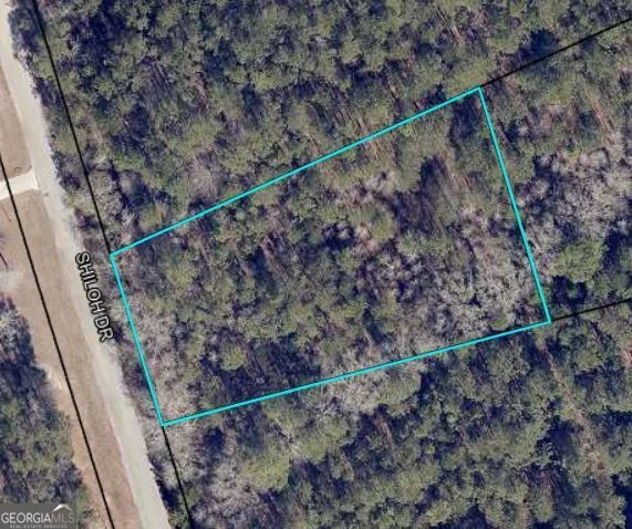204 Shiloh Drive