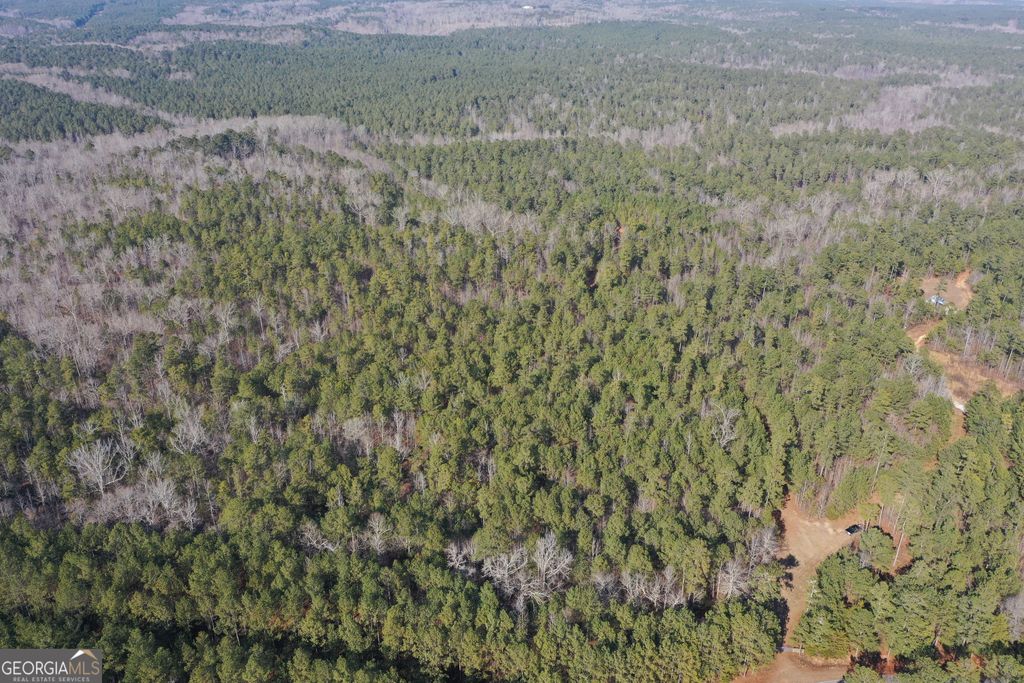 Photo of 0 John Rucker Road, Elberton, GA 30635 (MLS # 10693377)