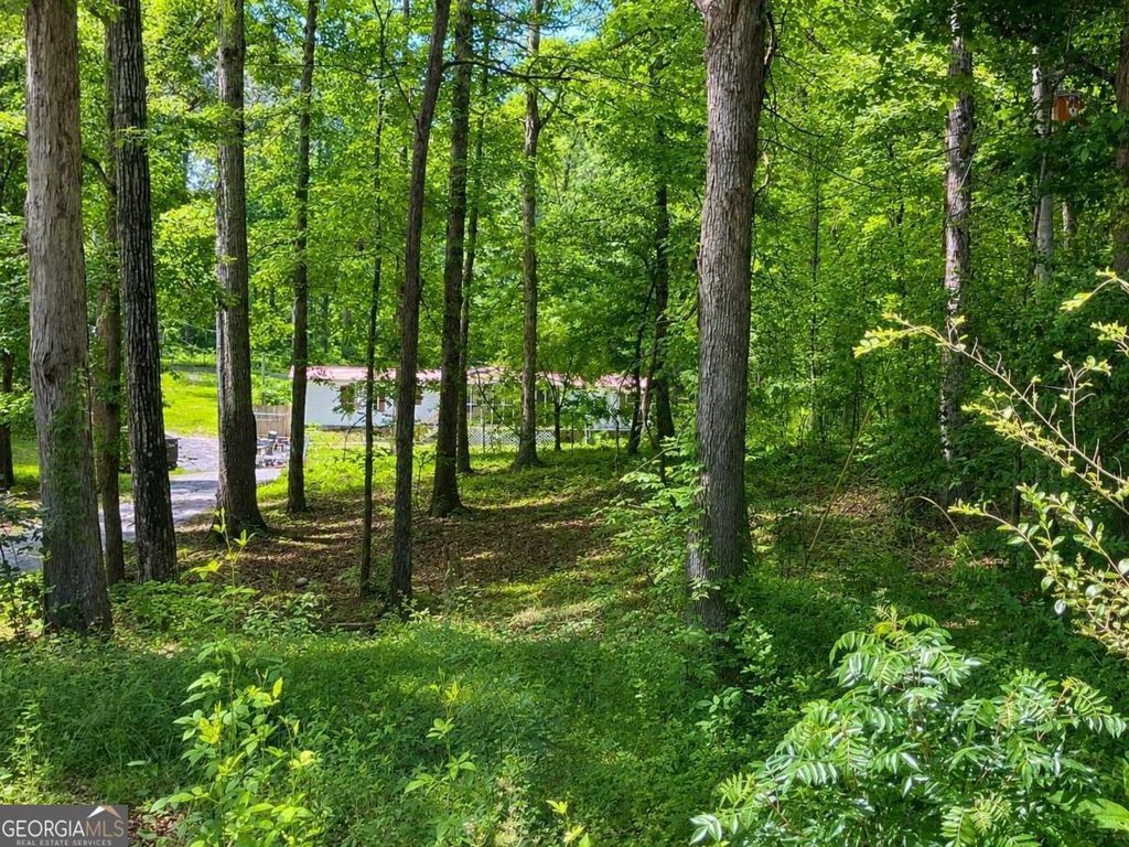 Photo of 400 Kellogg Drive, Colbert, GA 30628 (MLS # 10762900)