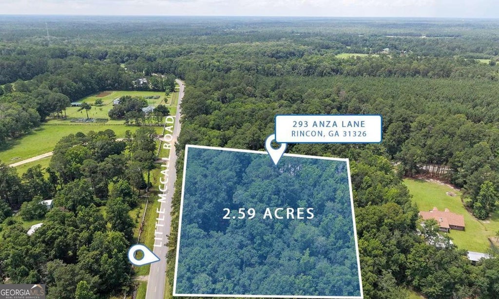 Photo of 293 Anza Lane, Rincon, GA 31326 (MLS # 10791486)