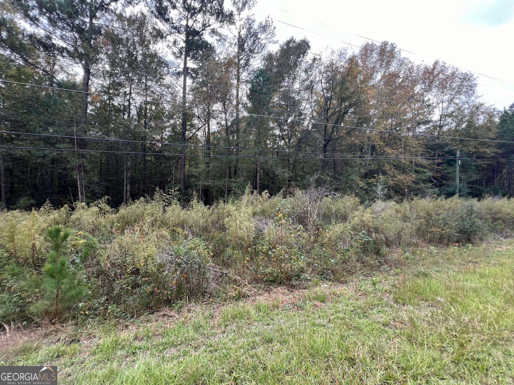 Photo of 0 Owens Drive, Conyers, GA 30094 (MLS # 10854718)