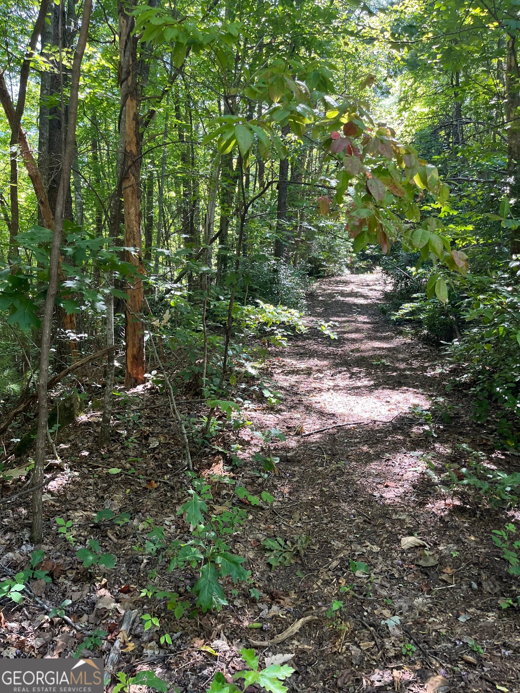 0 Beechwood DR 25,26