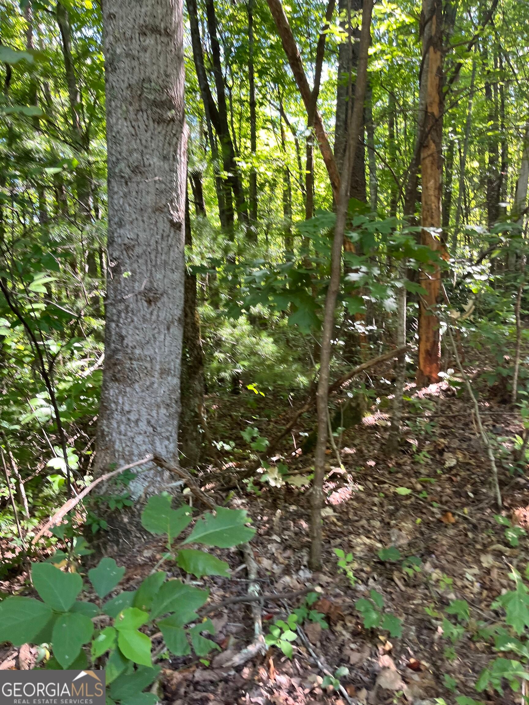 0 Beechwood DR 25,26