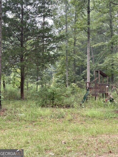 Photo of 0 Young, Franklin, GA 30217 (MLS # 10841128)