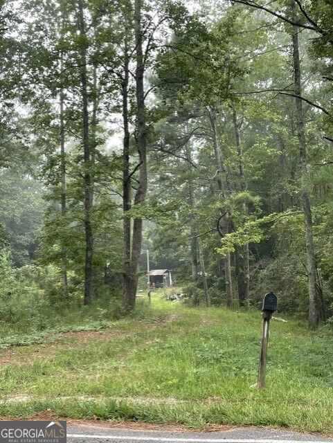 Photo of 0 Young, Franklin, GA 30217 (MLS # 10841128)