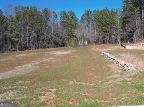 Photo of 12 Rivers Edge Lane #LOT 2, Franklin, GA 30217 (MLS # 10788014)
