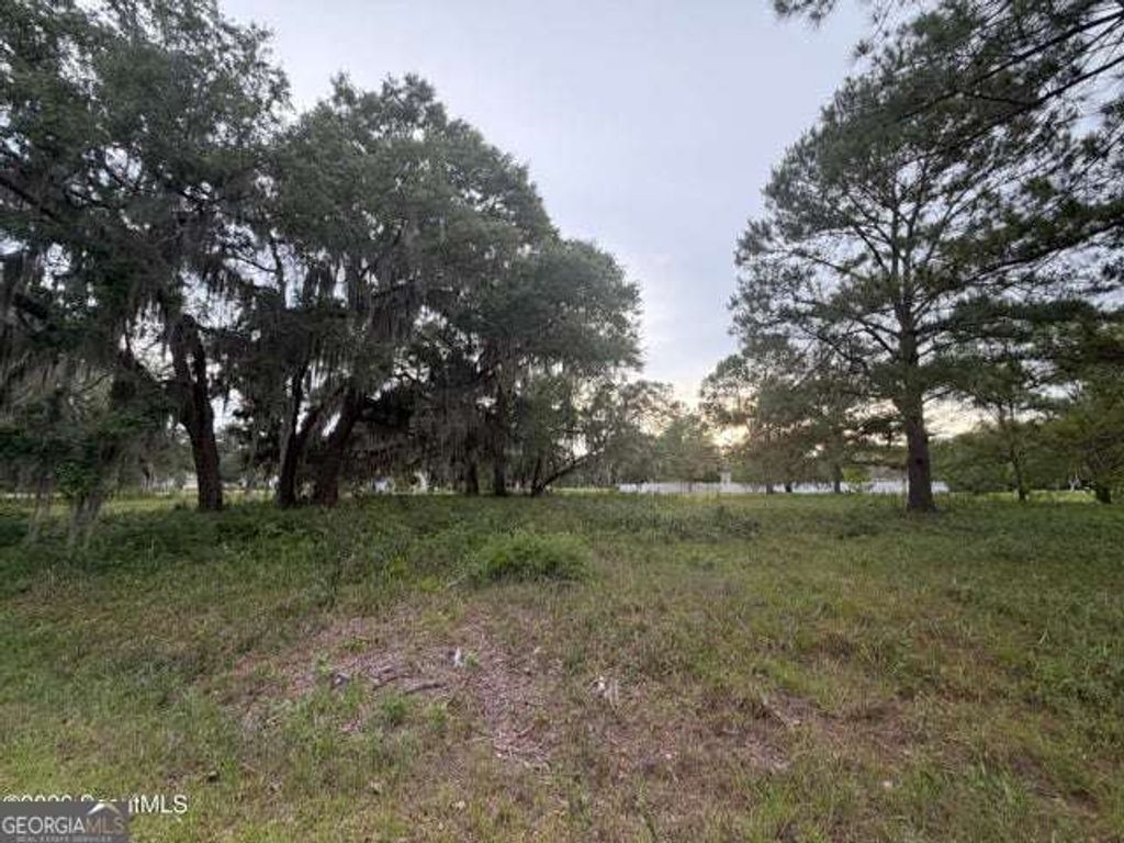 Photo of 119 Sapelo Cir #LOT 38, Darien, GA 31305 (MLS # 10771206)
