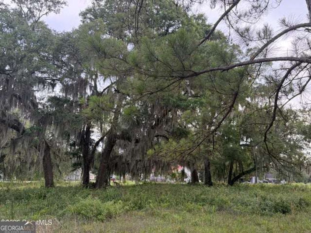 Photo of 119 Sapelo Cir #LOT 38, Darien, GA 31305 (MLS # 10771206)