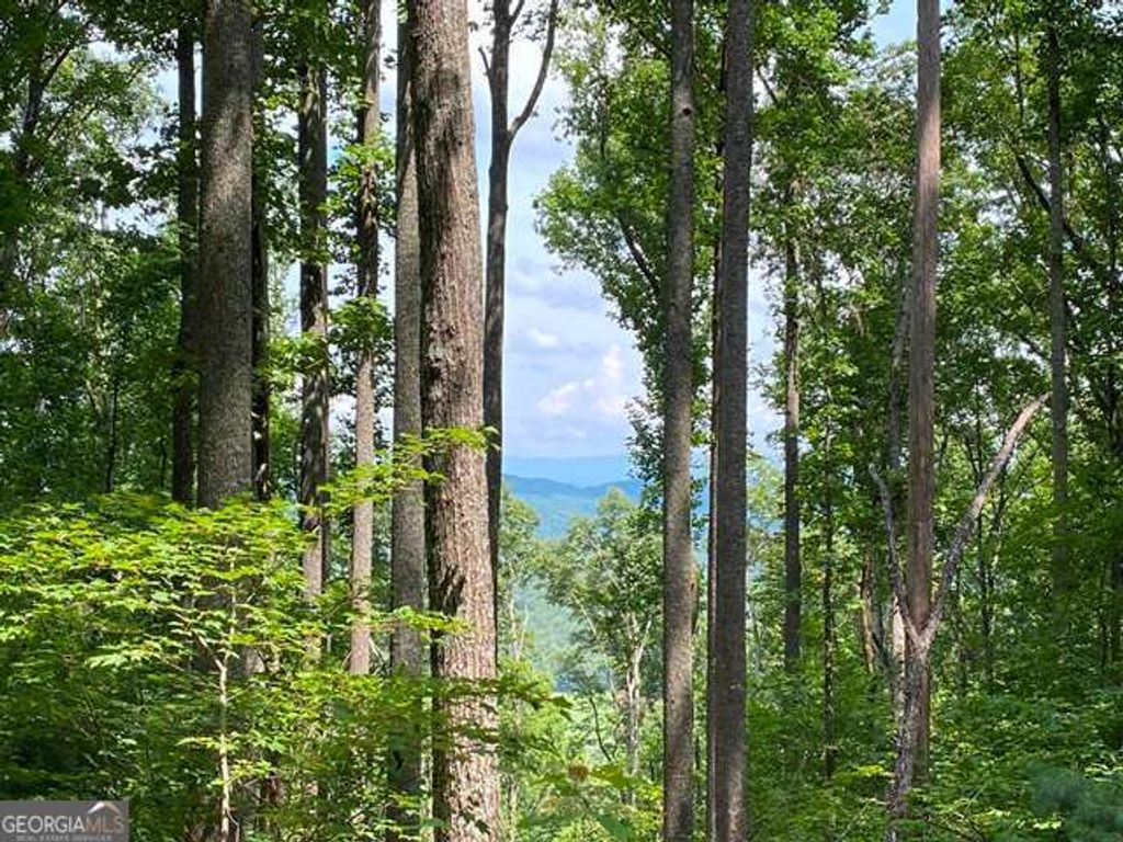 Photo of 1 High Country Lane, Morganton, GA 30560 (MLS # 10756888)