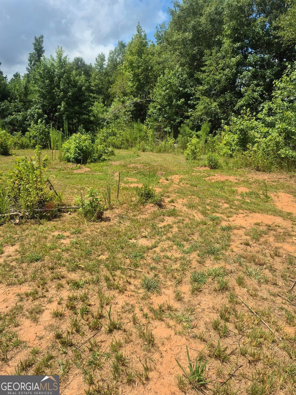 Photo of 0 Newnan Road, Griffin, GA 30223 (MLS # 10689747)