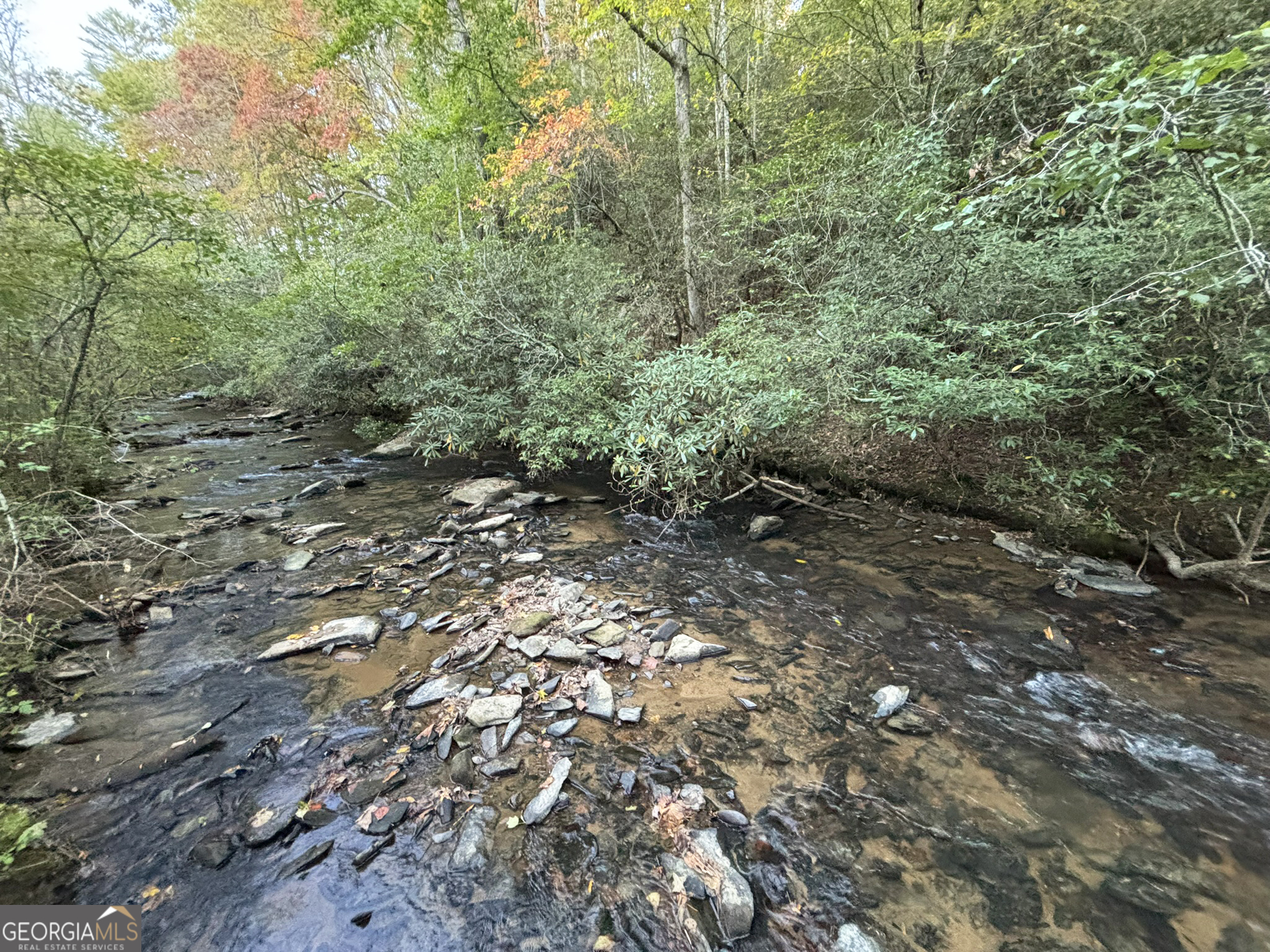 2010 Mt Springer RD