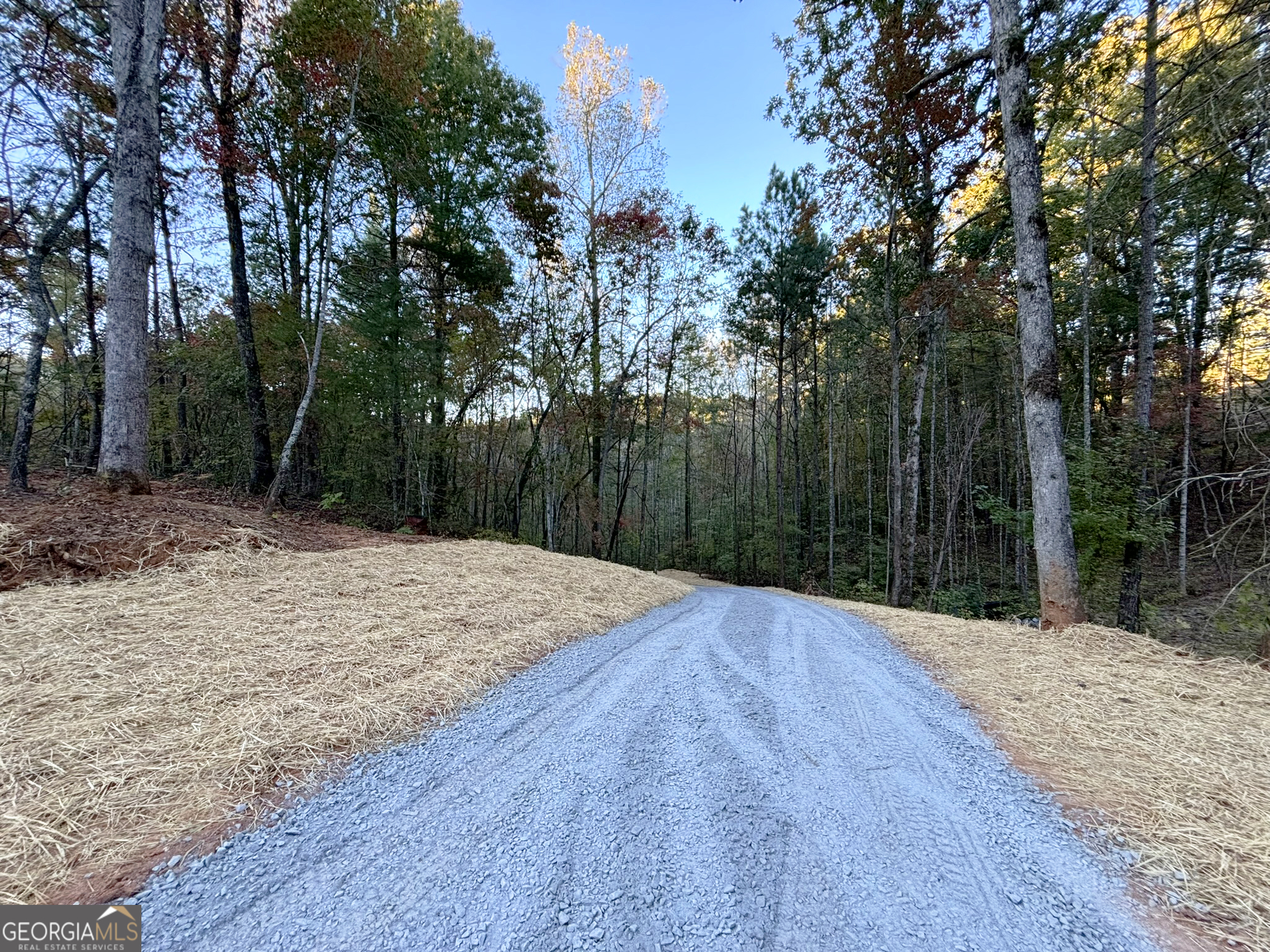 2010 Mt Springer RD