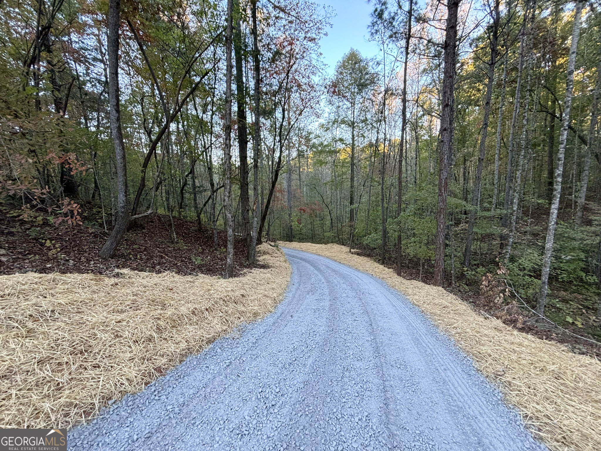 2010 Mt Springer RD