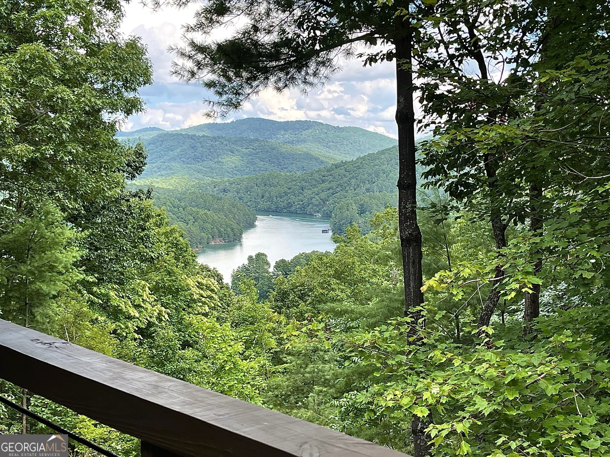 467 Necowa Cove Overlook