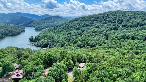 467 Necowa Cove Overlook Blue Ridge GA 30513