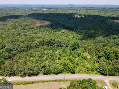 Photo of 451 Two Rock Road, Waco, GA 30182 (MLS # 10780757)