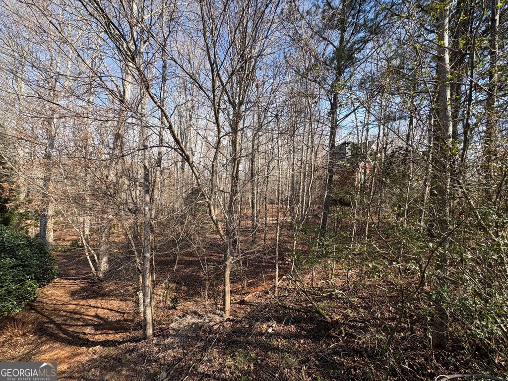 Photo of 4322 Heather Lane, Bogart, GA 30622 (MLS # 10688968)