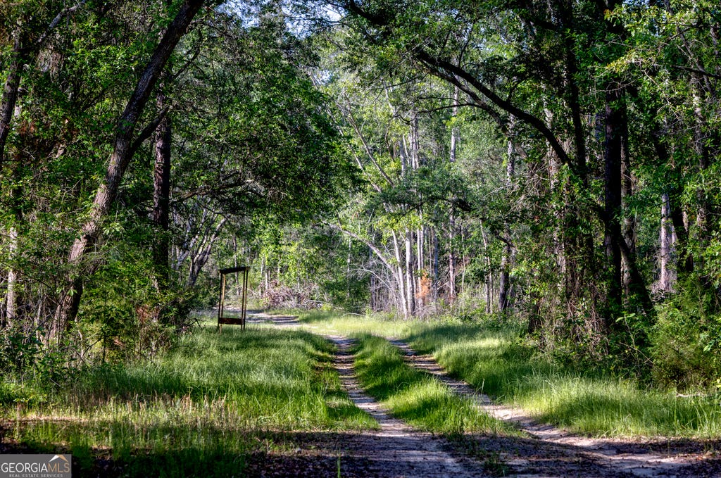 Photo of 00 Robinson Road, Baconton, GA 31716 (MLS # 10807605)