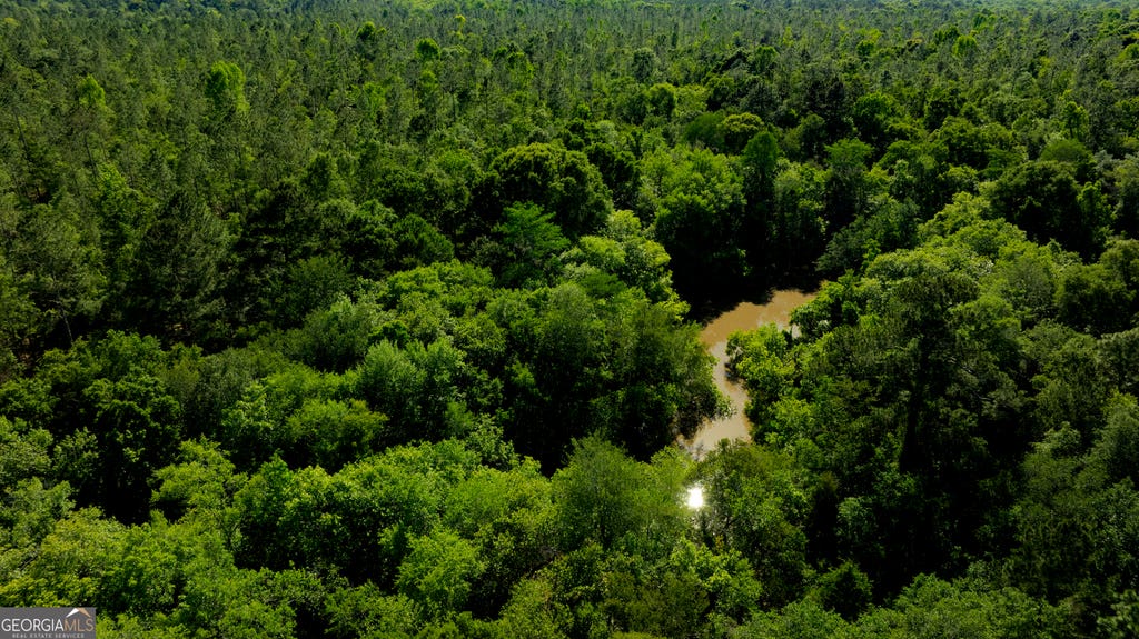 Photo of 00 Robinson Road, Baconton, GA 31716 (MLS # 10807605)