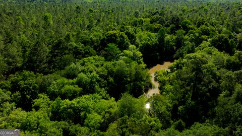 Photo of 00 Robinson Road, Baconton, GA 31716 (MLS # 10807605)