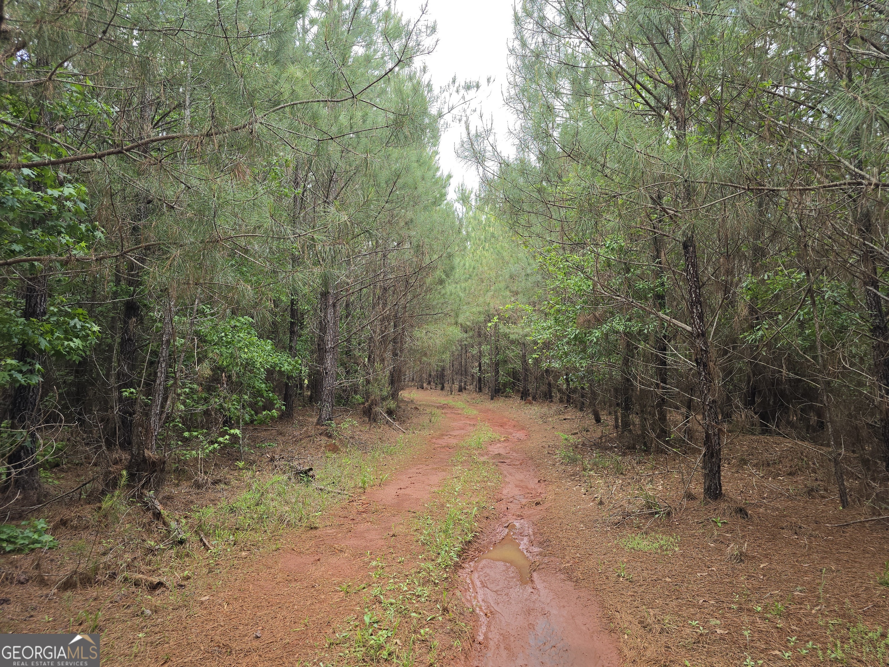 0 Davis Lake RD