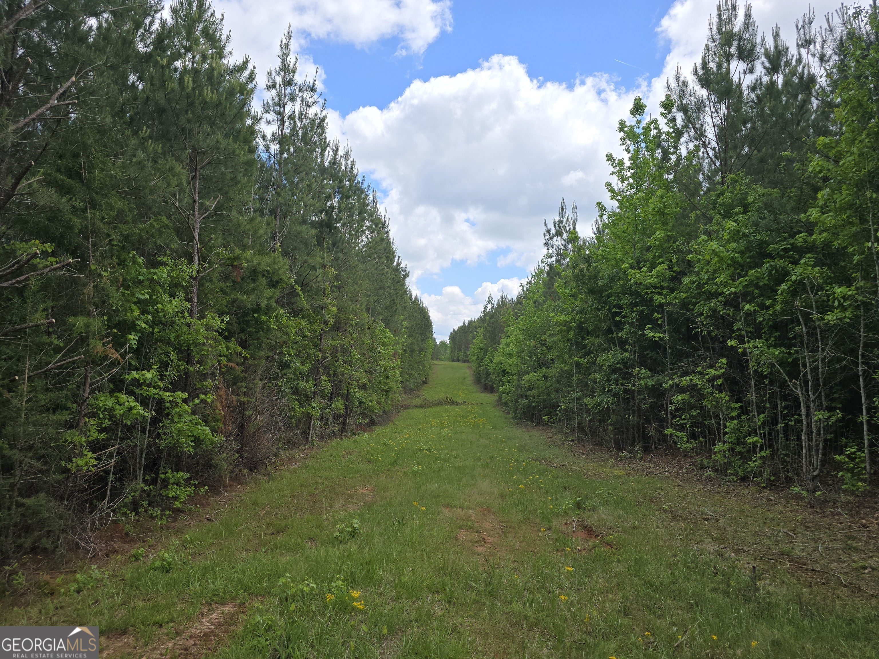 0 Davis Lake RD