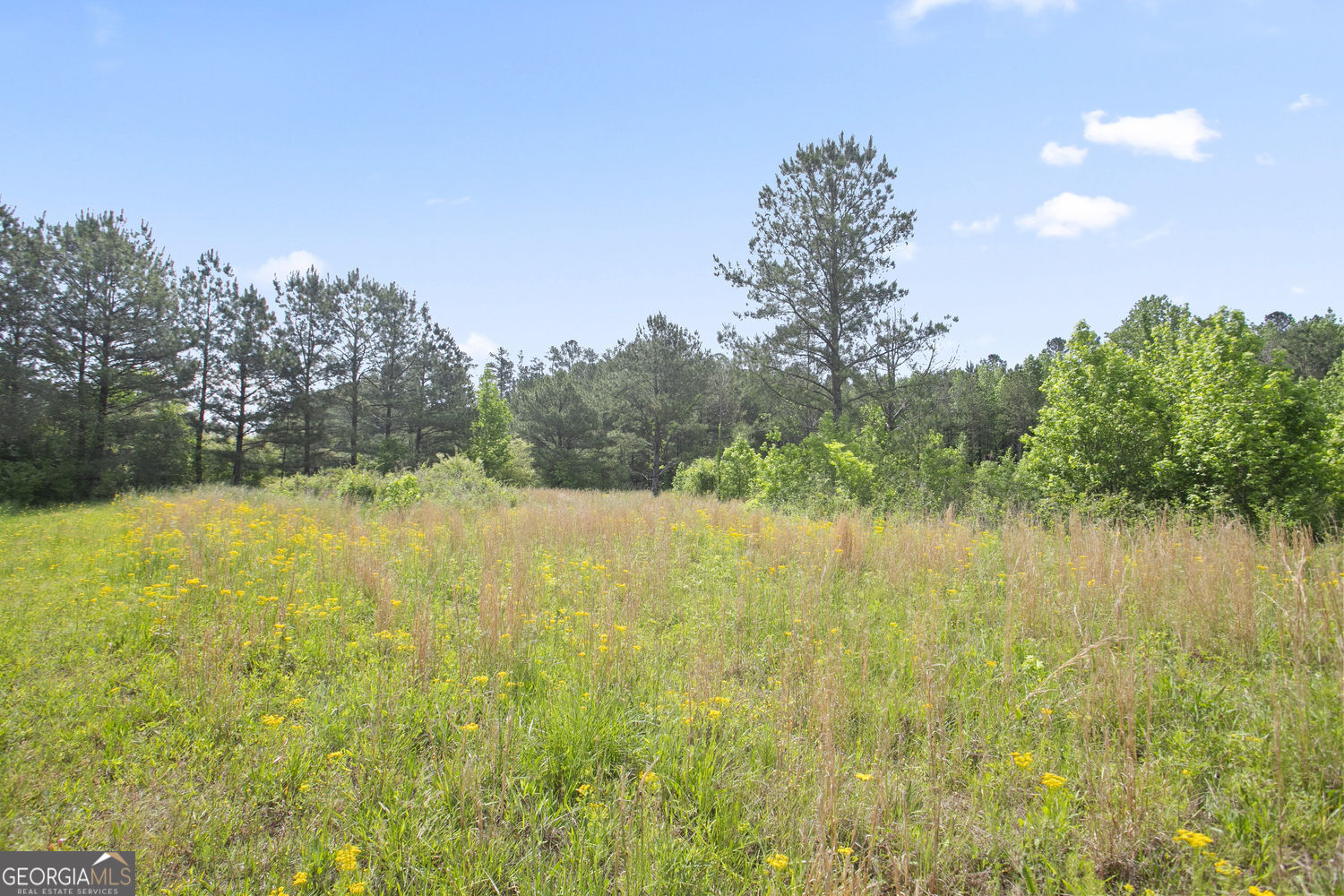 3ACRES Satcher Rd