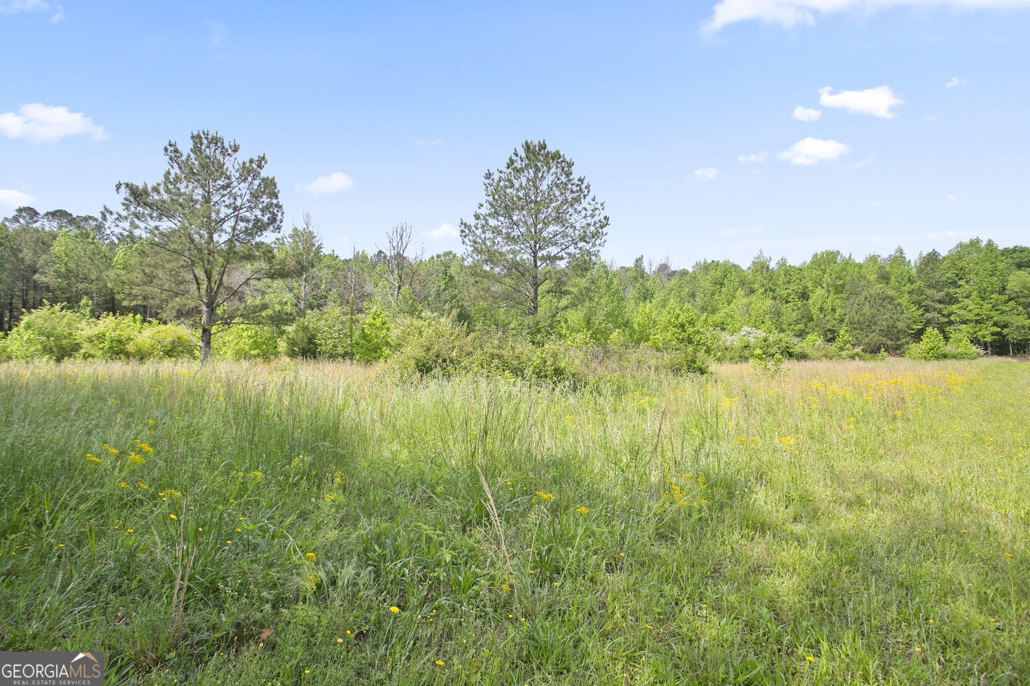 3ACRES Satcher Rd