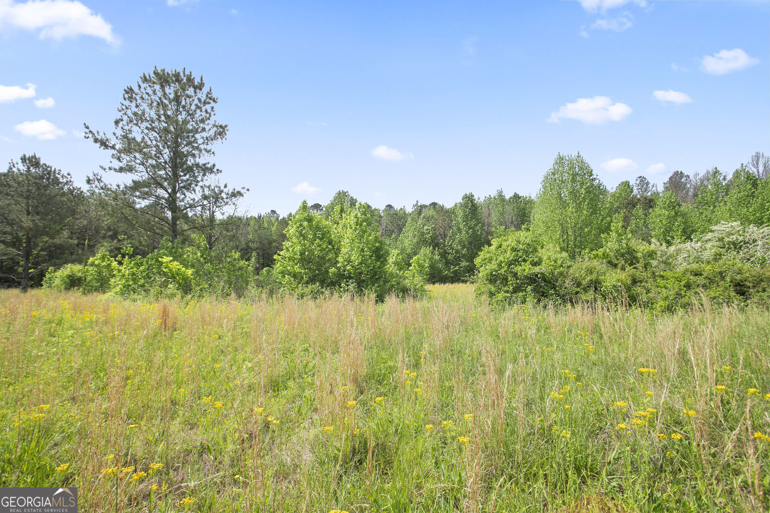 3ACRES Satcher Rd