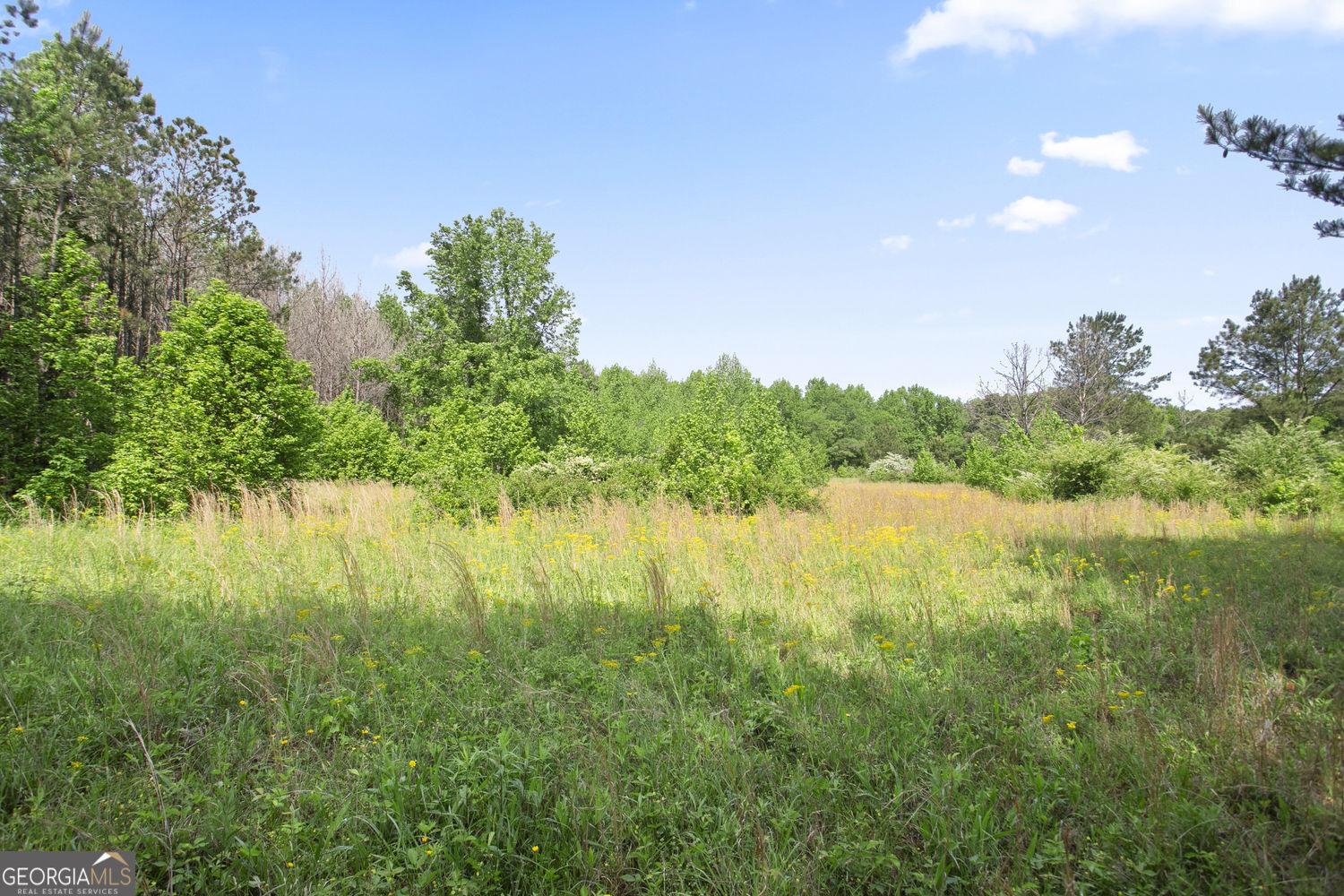 3ACRES Satcher Rd