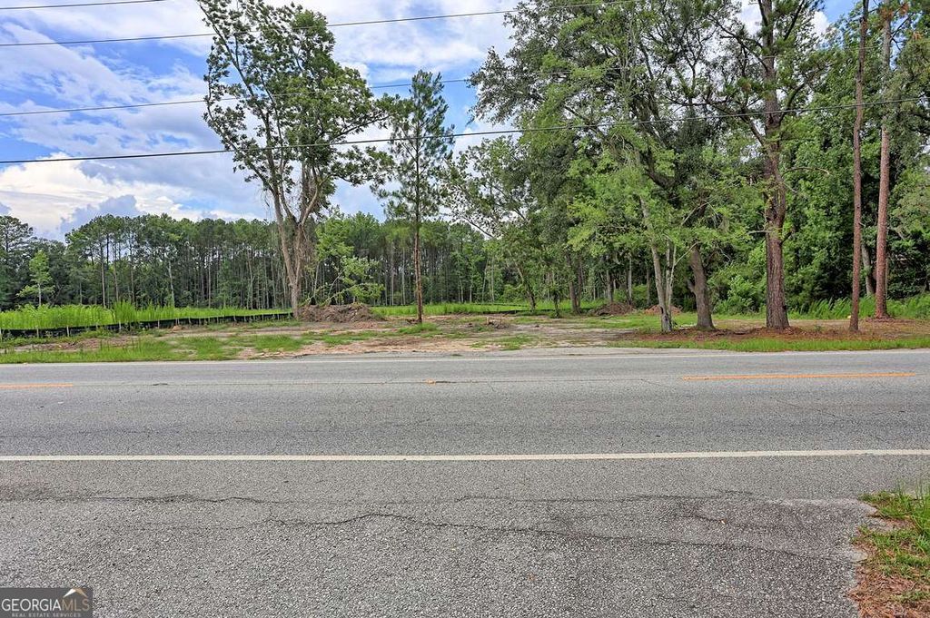 Photo of 2698 Ga Highway 119 Highway S, Guyton, GA 31312 (MLS # 10791748)
