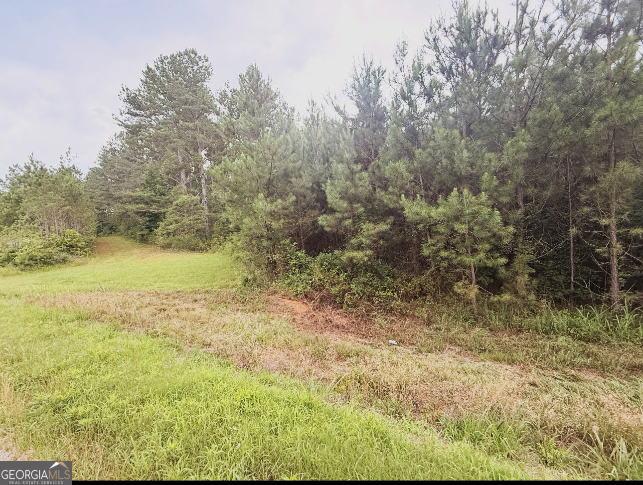 0 County Road 40