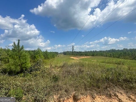 Photo of 0 Millen Road #TRACT 20, Monticello, GA 31064 (MLS # 10848948)