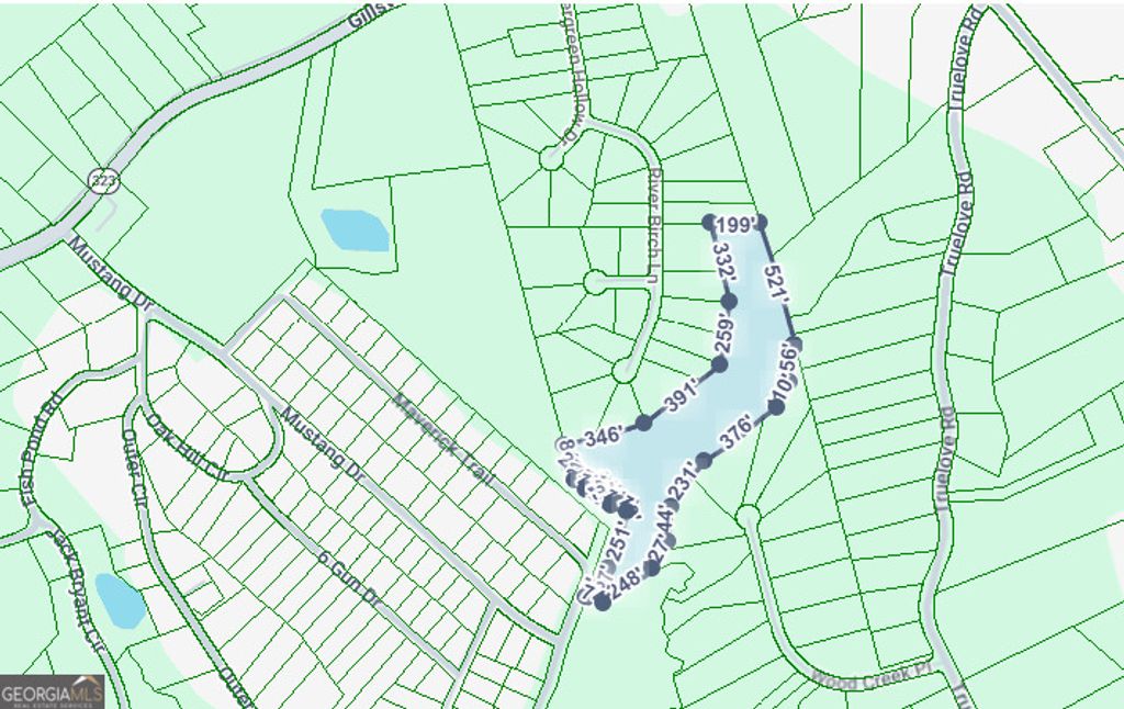 Photo of 2971 Maverick Trail, Gainesville, GA 30507 (MLS # 10696312)