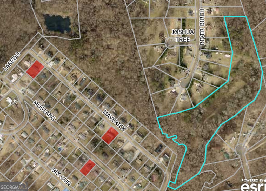 Photo of 2971 Maverick Trail, Gainesville, GA 30507 (MLS # 10696312)