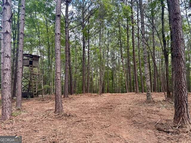 130 Patriot View DR