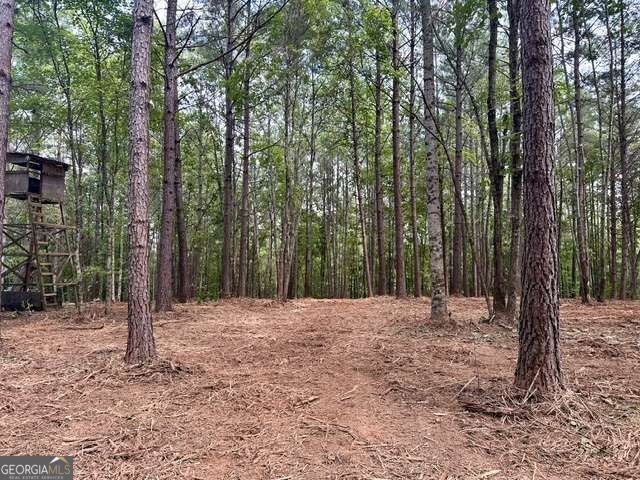 130 Patriot View DR