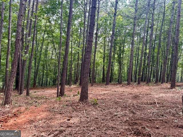 130 Patriot View DR