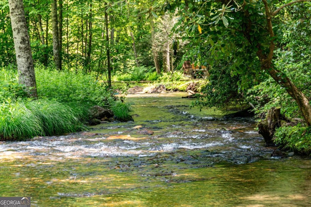 Photo of 77 Old Covered Bridge Road, Cherry Log, GA 30522 (MLS # 10812072)