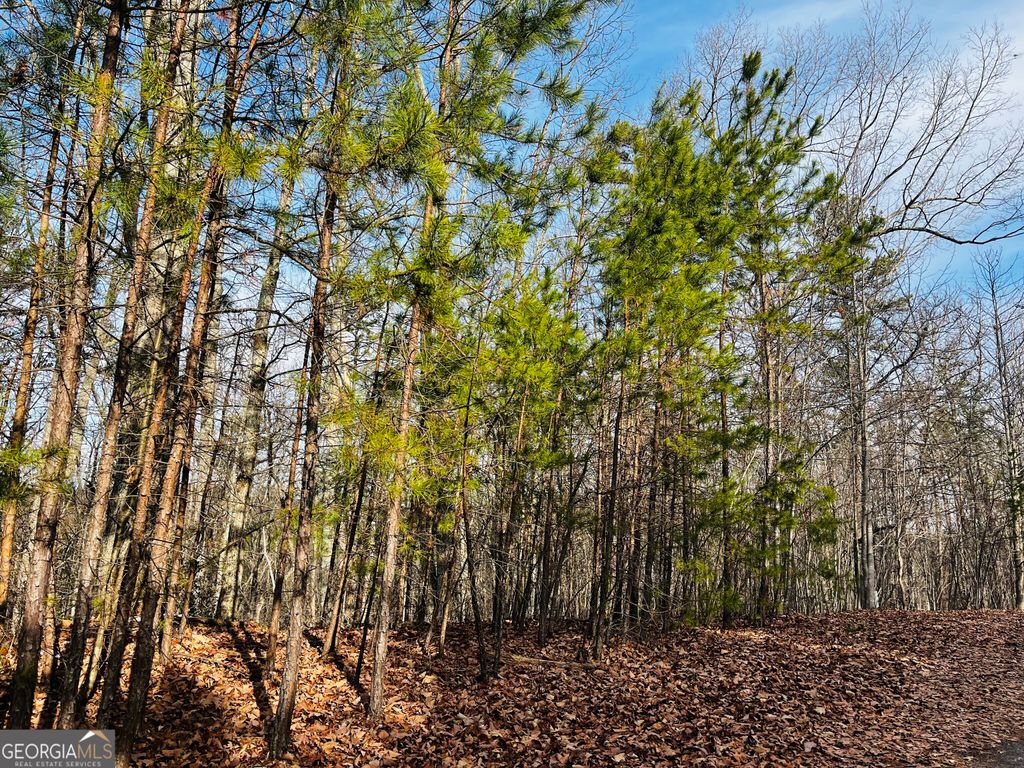 Photo of 6 Planters Pointe Drive, Baldwin, GA 30511 (MLS # 10682972)