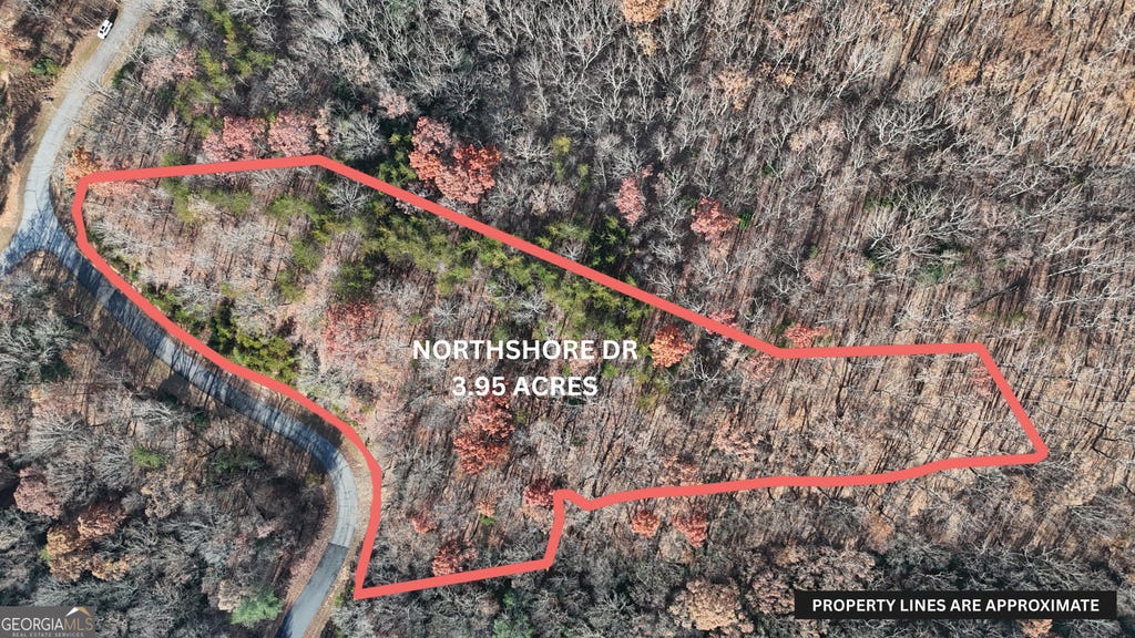 Photo of 184 Northshore Drive, Cleveland, GA 30528 (MLS # 10796357)