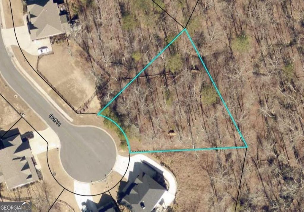 Photo of 8 Bluff Court, Cartersville, GA 30120 (MLS # 10677422)