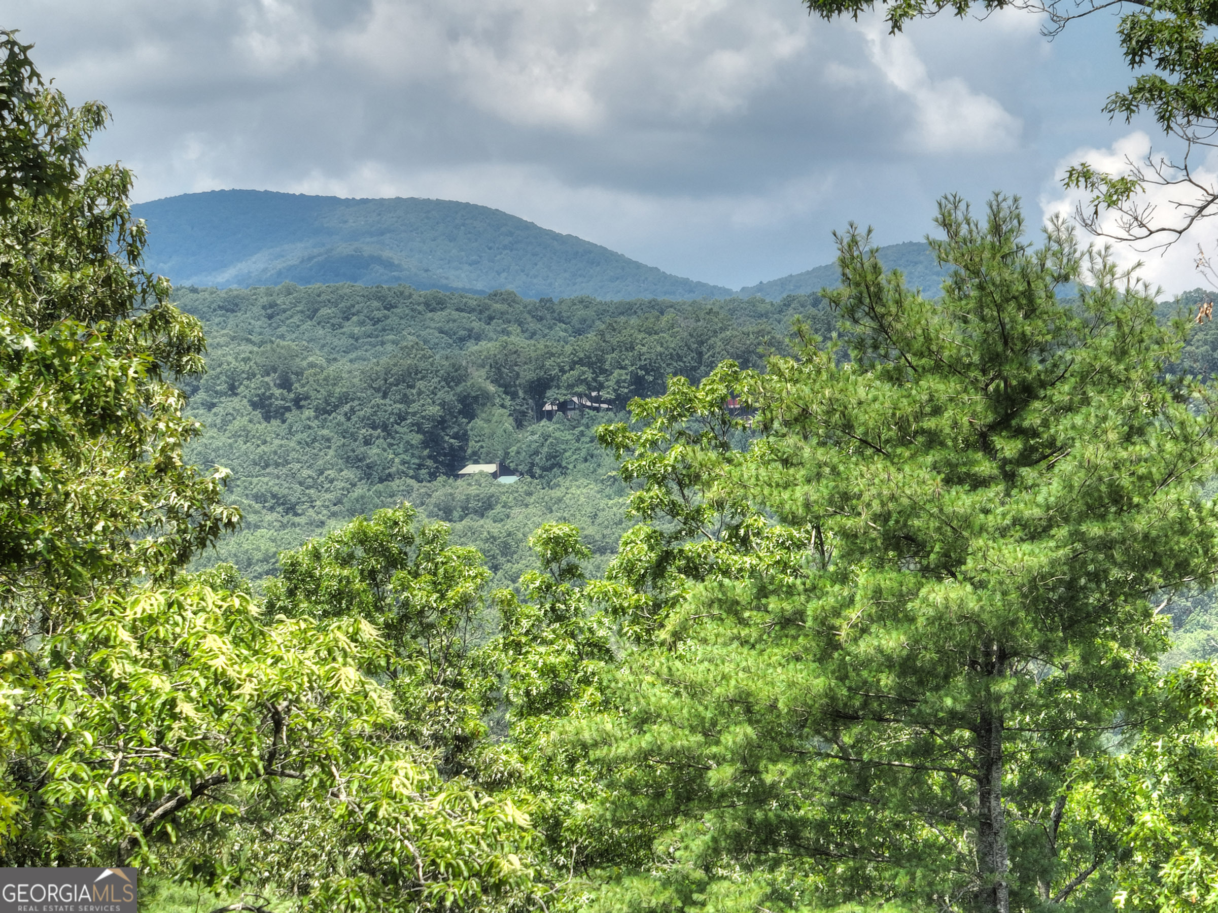 28 Aska Forest TRL