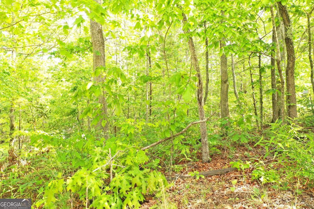 Photo of 20 Eden Woods, Clarkesville, GA 30523 (MLS # 10757609)