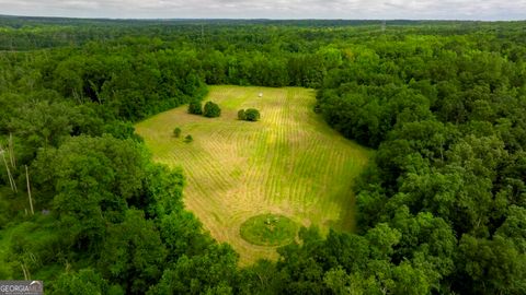 Photo of 1230 Agricola Road, Mitchell, GA 30820 (MLS # 10572720)