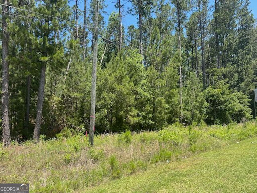 Photo of 3 Matthews Road, Tennille, GA 31089 (MLS # 10531606)