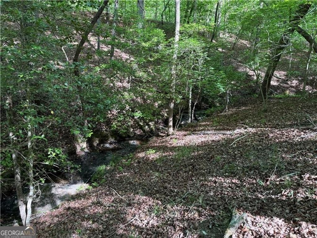 Photo of 00 High Shoals Dr, Dahlonega, GA 30533 (MLS # 10756906)