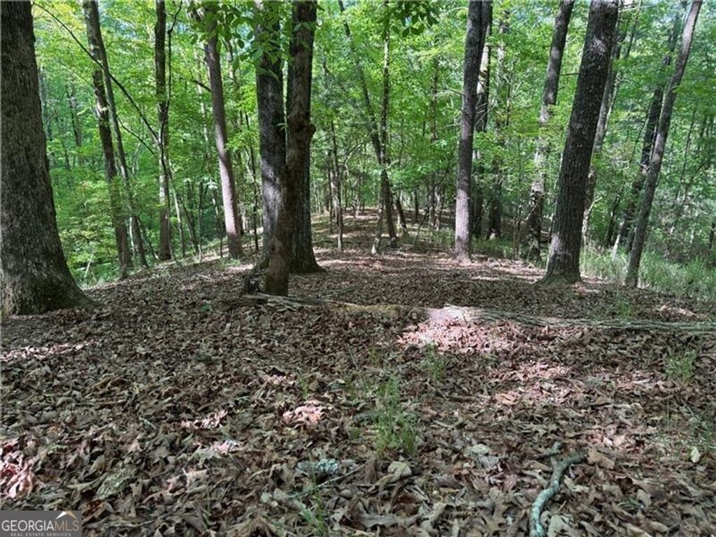 Photo of 00 High Shoals Dr, Dahlonega, GA 30533 (MLS # 10756906)