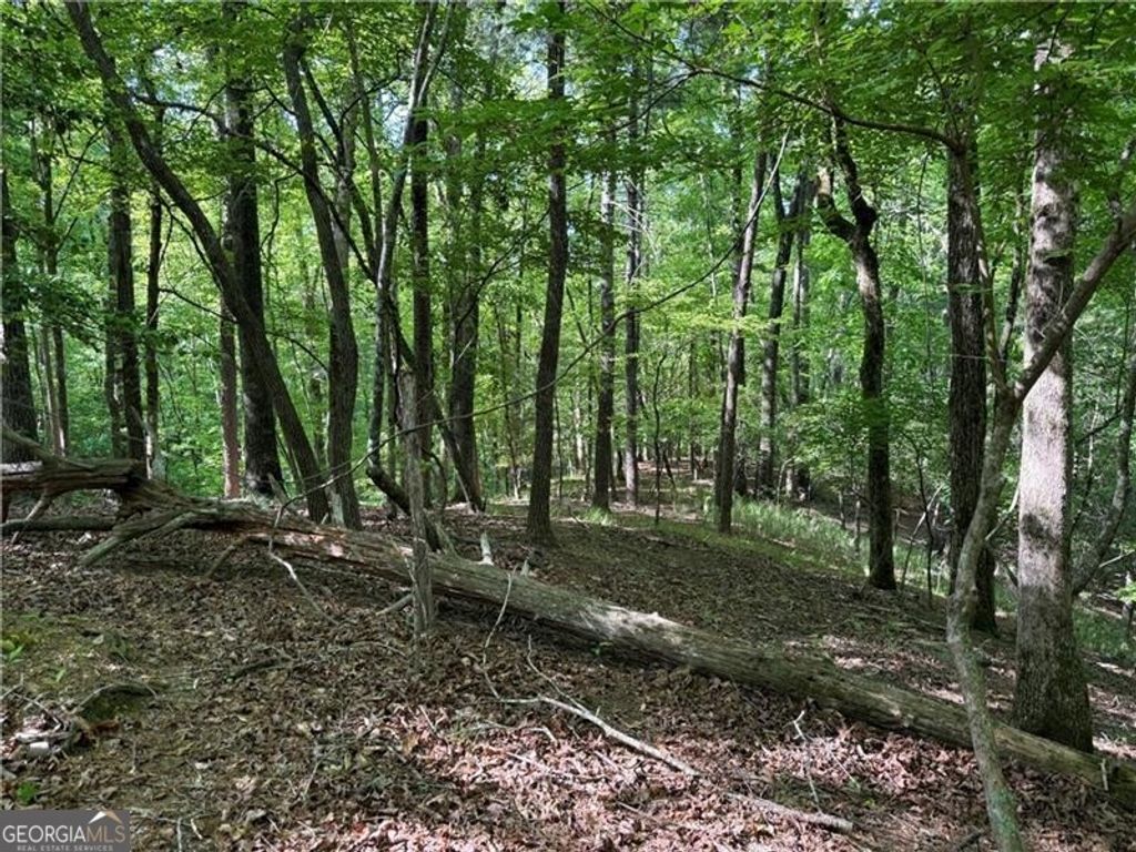 Photo of 00 High Shoals Dr, Dahlonega, GA 30533 (MLS # 10756906)